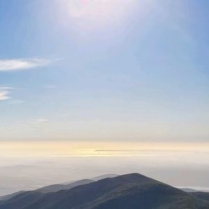 Meet your Posher, Zane